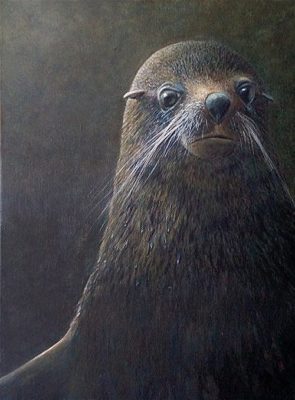 New Zealand Fur Seal